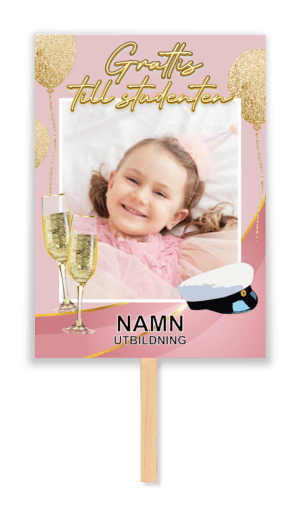 studentplakat rosa fest