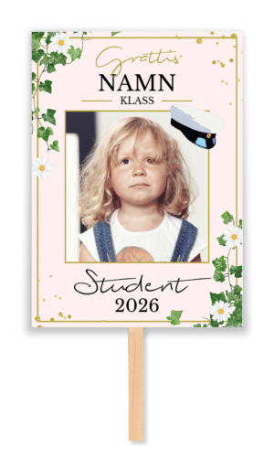 rosa sommar student plakat